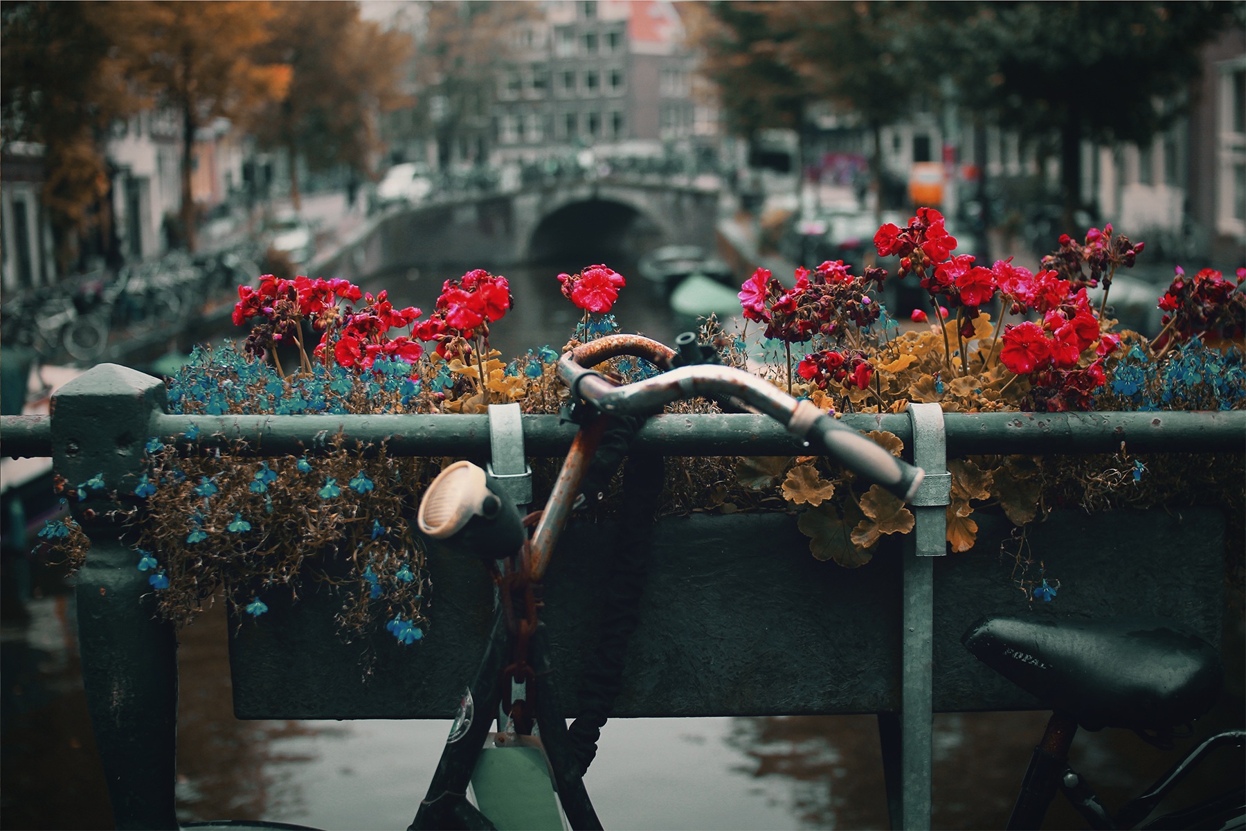 amsterdam brug fiets bloembak