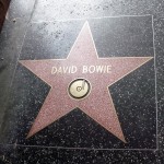 david bowie ster