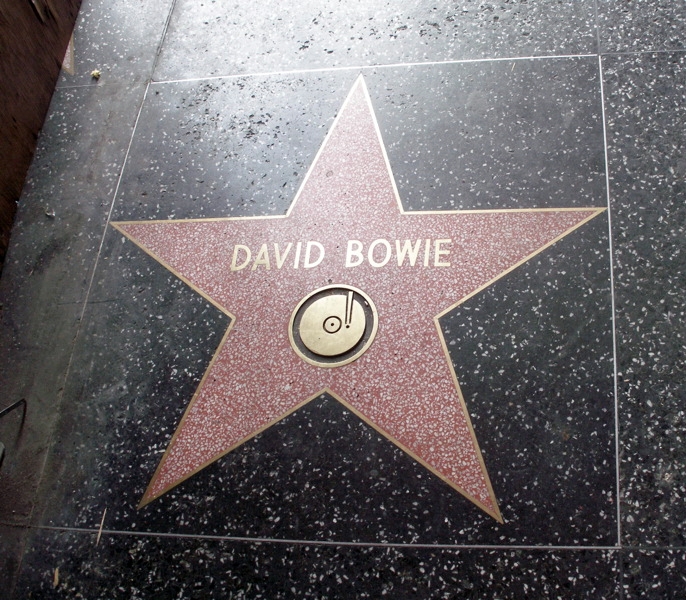 david bowie ster