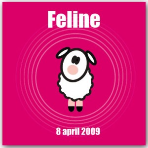 Geboortekaartje Feline